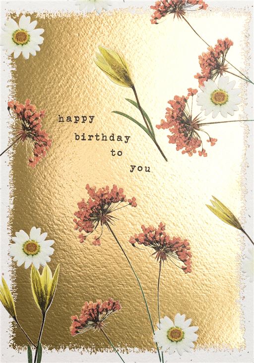 BIRTHDAY DAISY & PINK MEADOW