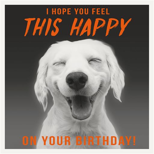 THIS HAPPY