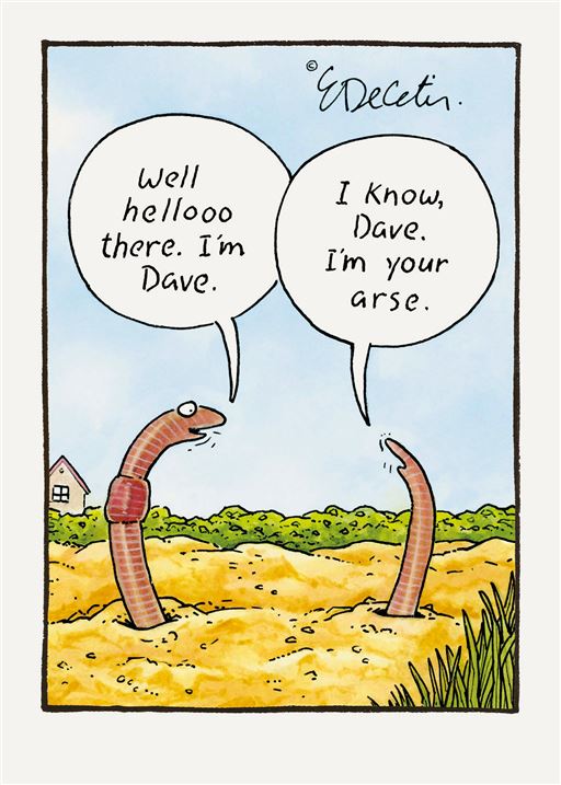 WORM