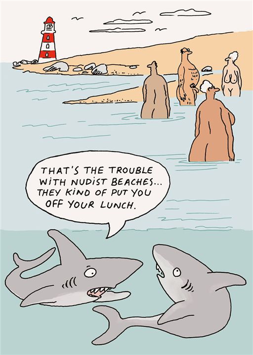 SHARKS