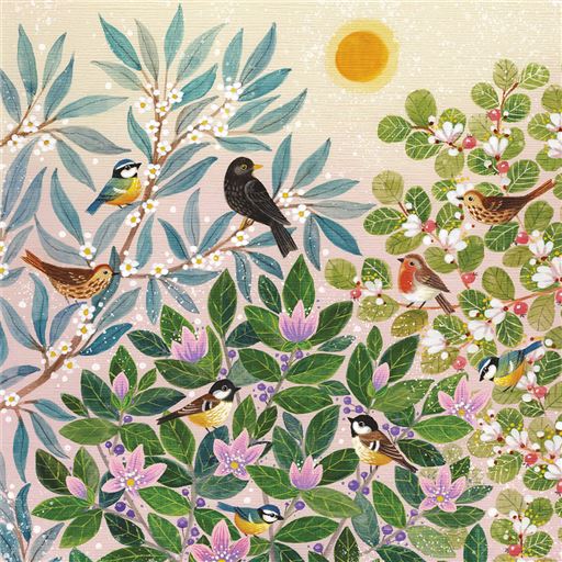 BIRDS