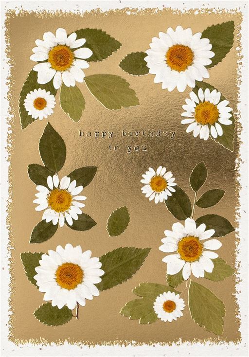 DAISIES