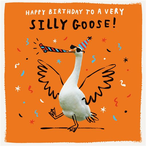 SILLY GOOSE