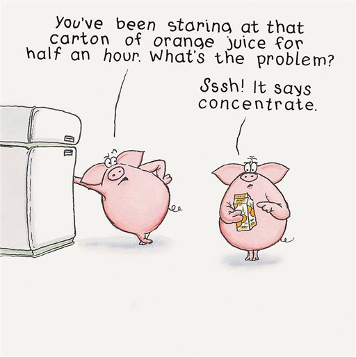 CONCENTRATE