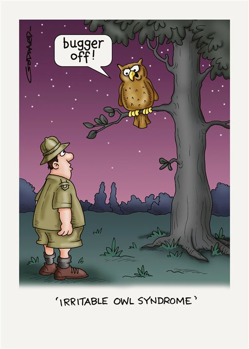 IRRITABLE OWL SYNDROME