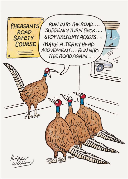 ROAD SAFETY