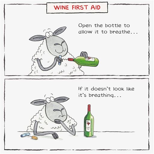 WINE FIRST AID