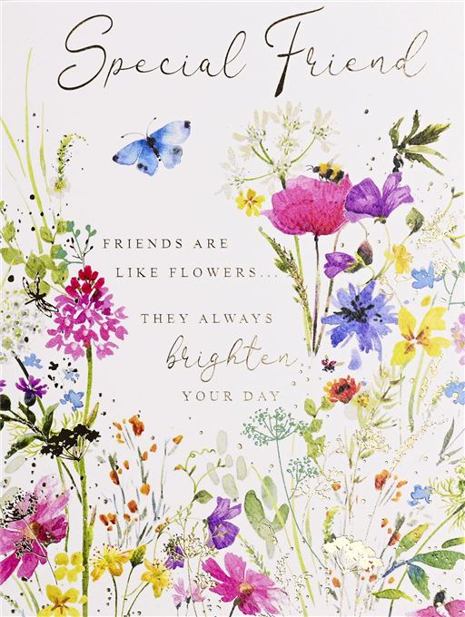 SPECIAL FRIEND