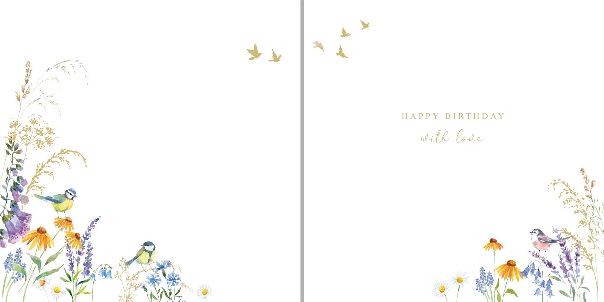 BIRDS