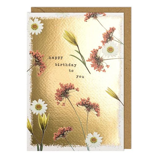 BIRTHDAY DAISY & PINK MEADOW