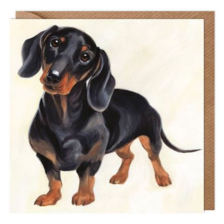 DACHSHUND