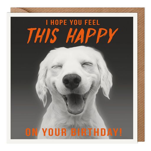 THIS HAPPY