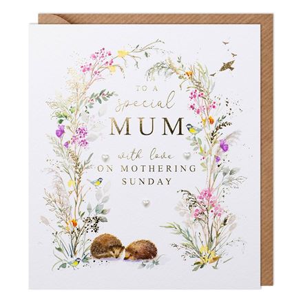 SPECIAL MUM HEDGEHOGS