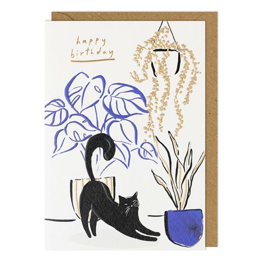 CAT AND PLANTS