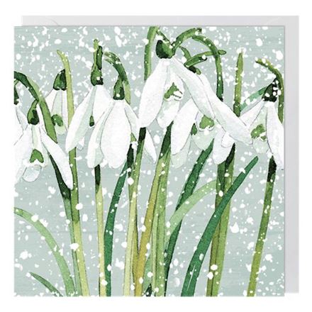 SNOWDROPS