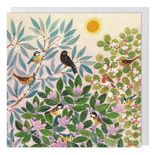 BIRDS