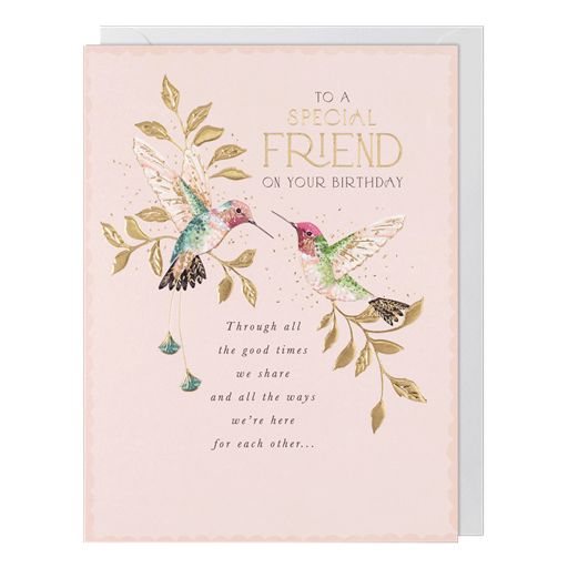 SPECIAL FRIEND