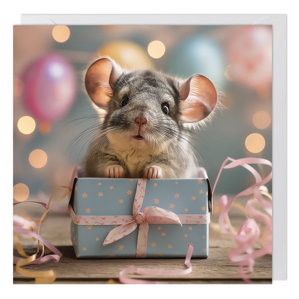 CHINCHILLA
