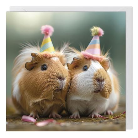 GUINEA PIGS