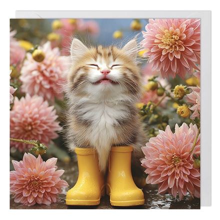 KITTEN