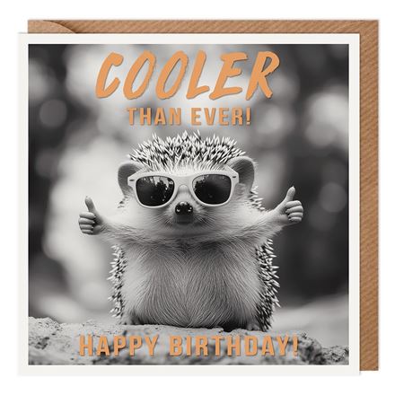 COOL HEDGEHOG