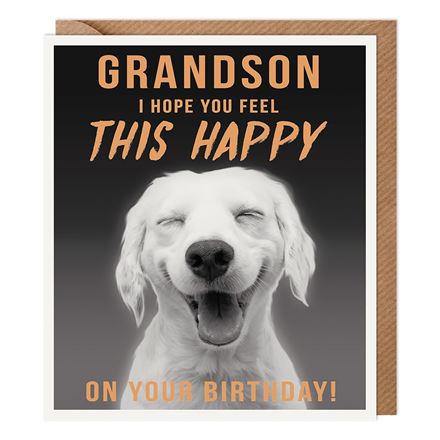 GRANDSON BIRTHDAY