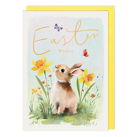 PAINTED RABBIT