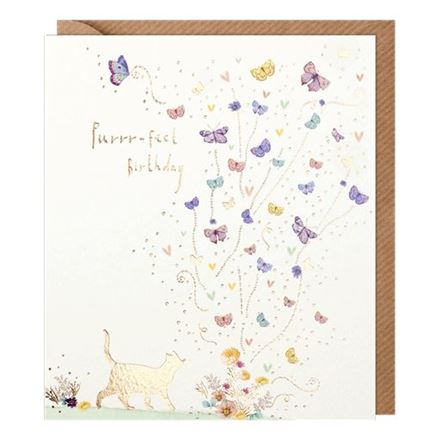 CAT WITH BUTTERFLIES