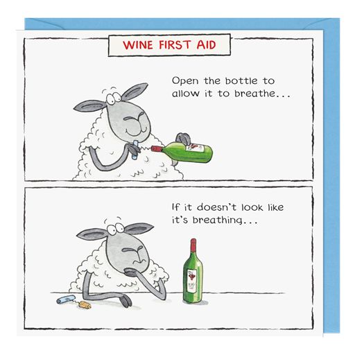 WINE FIRST AID