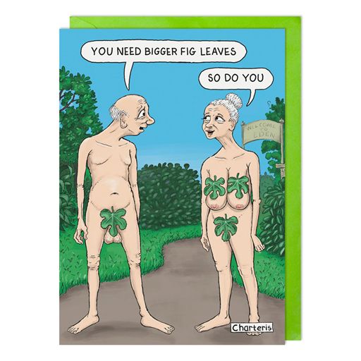 FIG LEAVES