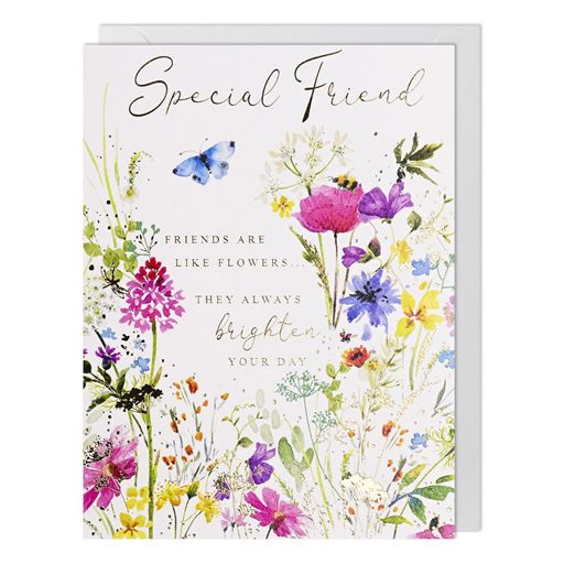 SPECIAL FRIEND